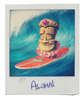 Aloha Picture