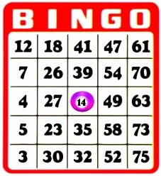 Bingo_3