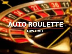 auto-roulette-tlc